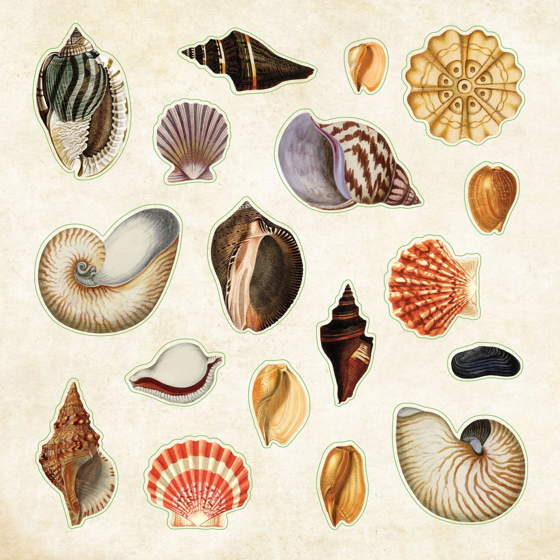 Poseidon's Kingdom - An Astonishing Oceanic Sticker Book