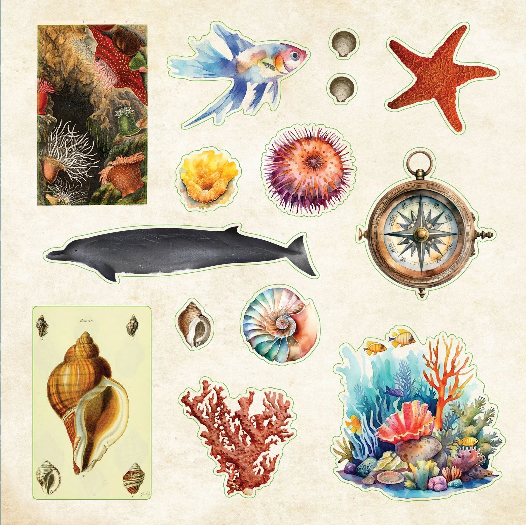 Poseidon's Kingdom - An Astonishing Oceanic Sticker Book