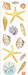 Seashells Stickers