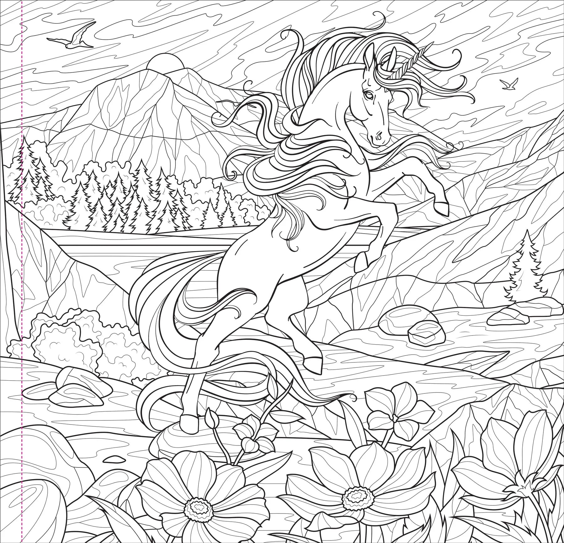 Enchanted Kingdom Artist's Coloring Book