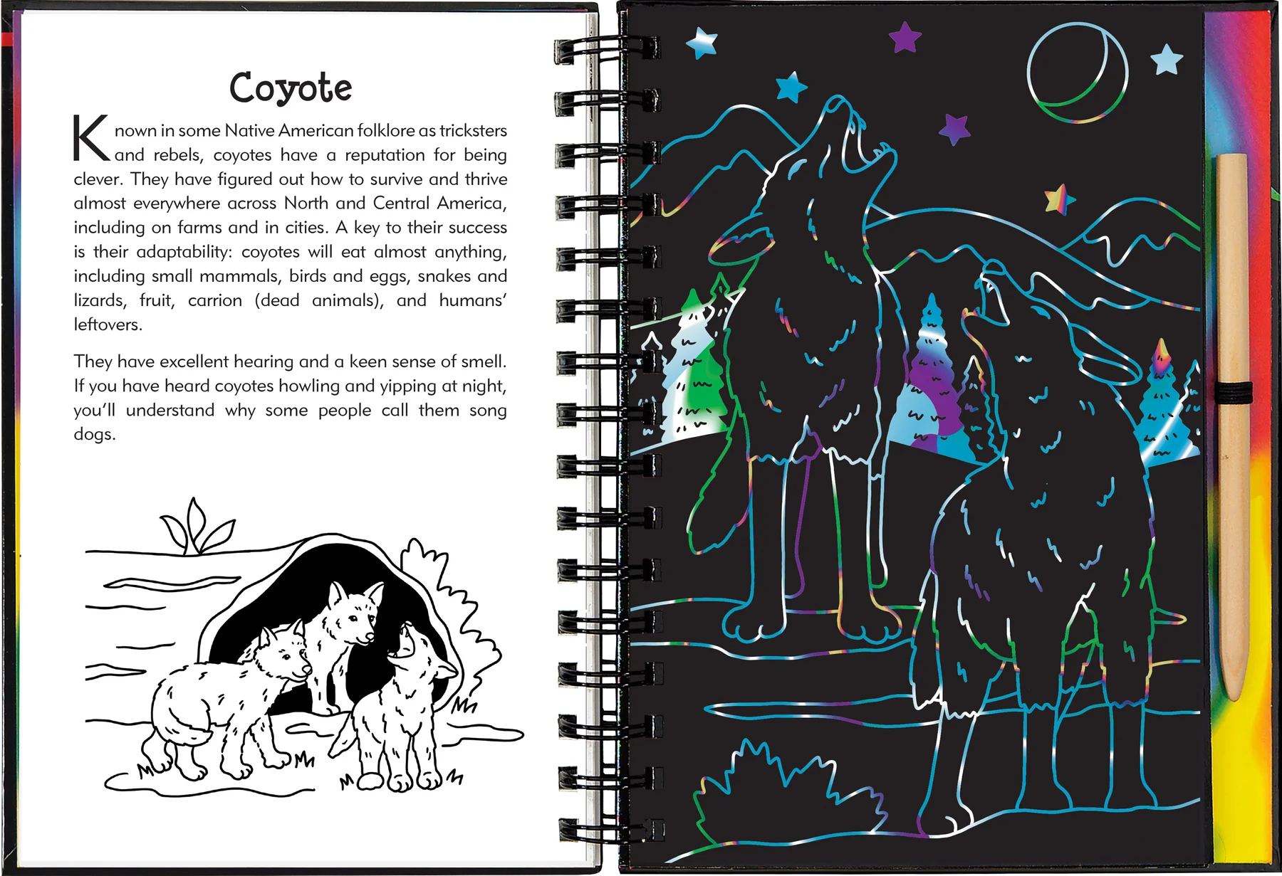 Nocturnal Animals Scratch and Sketch