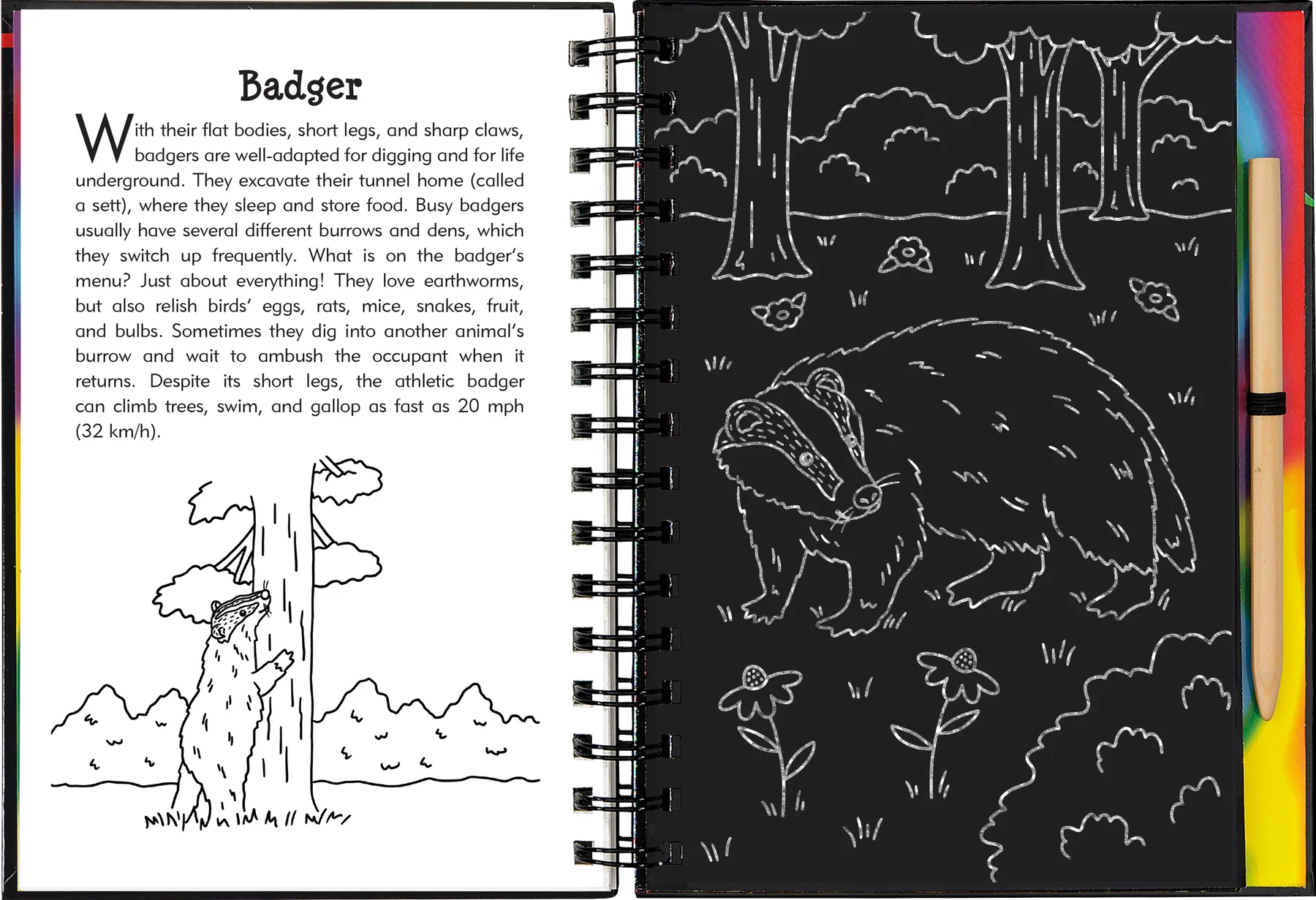 Nocturnal Animals Scratch and Sketch