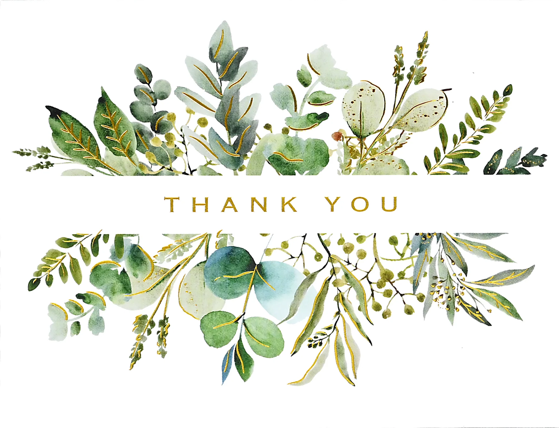 Eucalyptus Premium Assorted Thank-You Cards