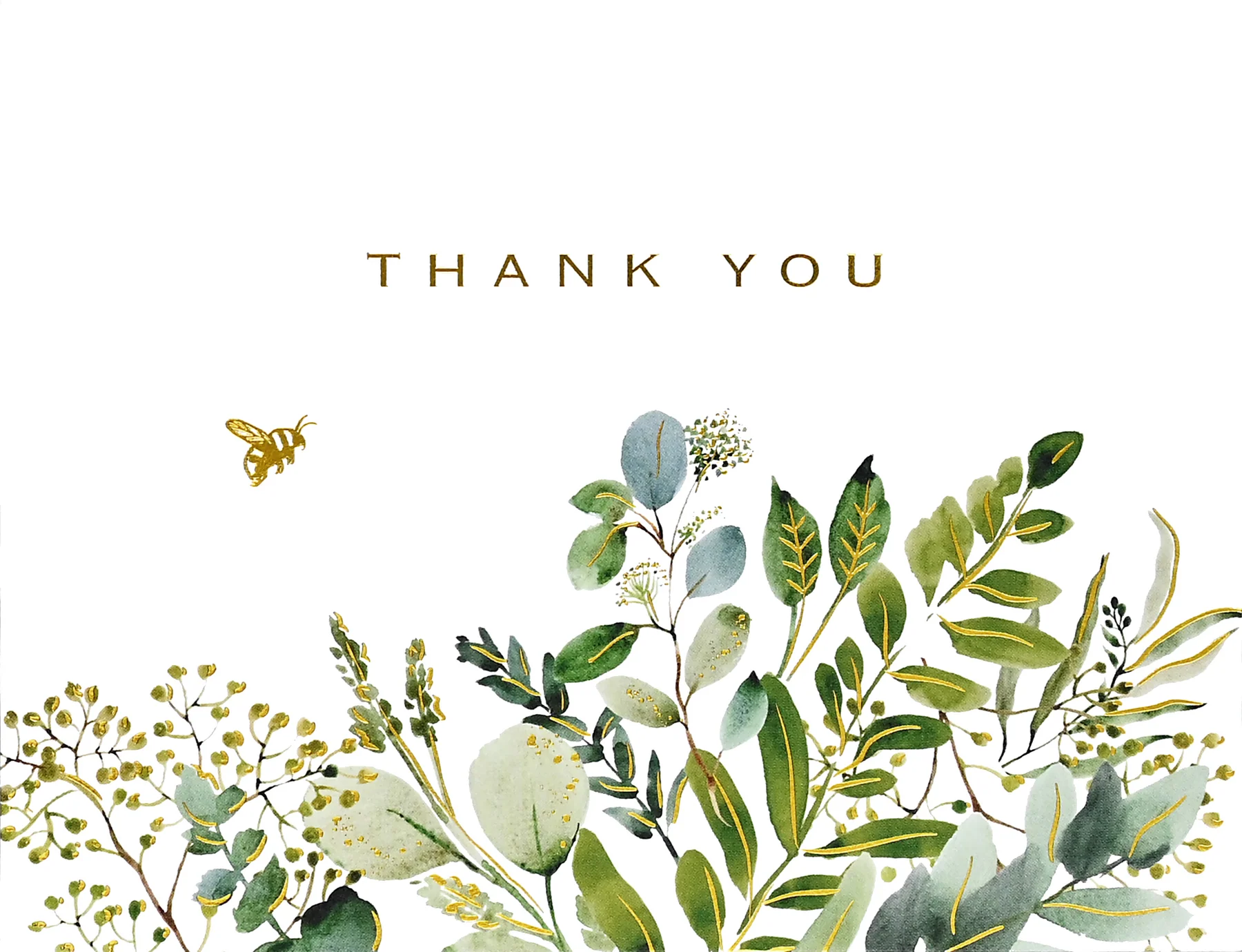 Eucalyptus Premium Assorted Thank-You Cards