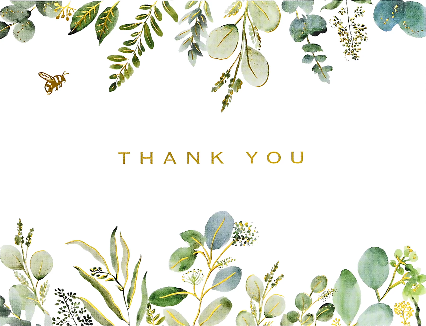 Eucalyptus Premium Assorted Thank-You Cards