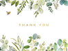 Eucalyptus Premium Assorted Thank-You Cards