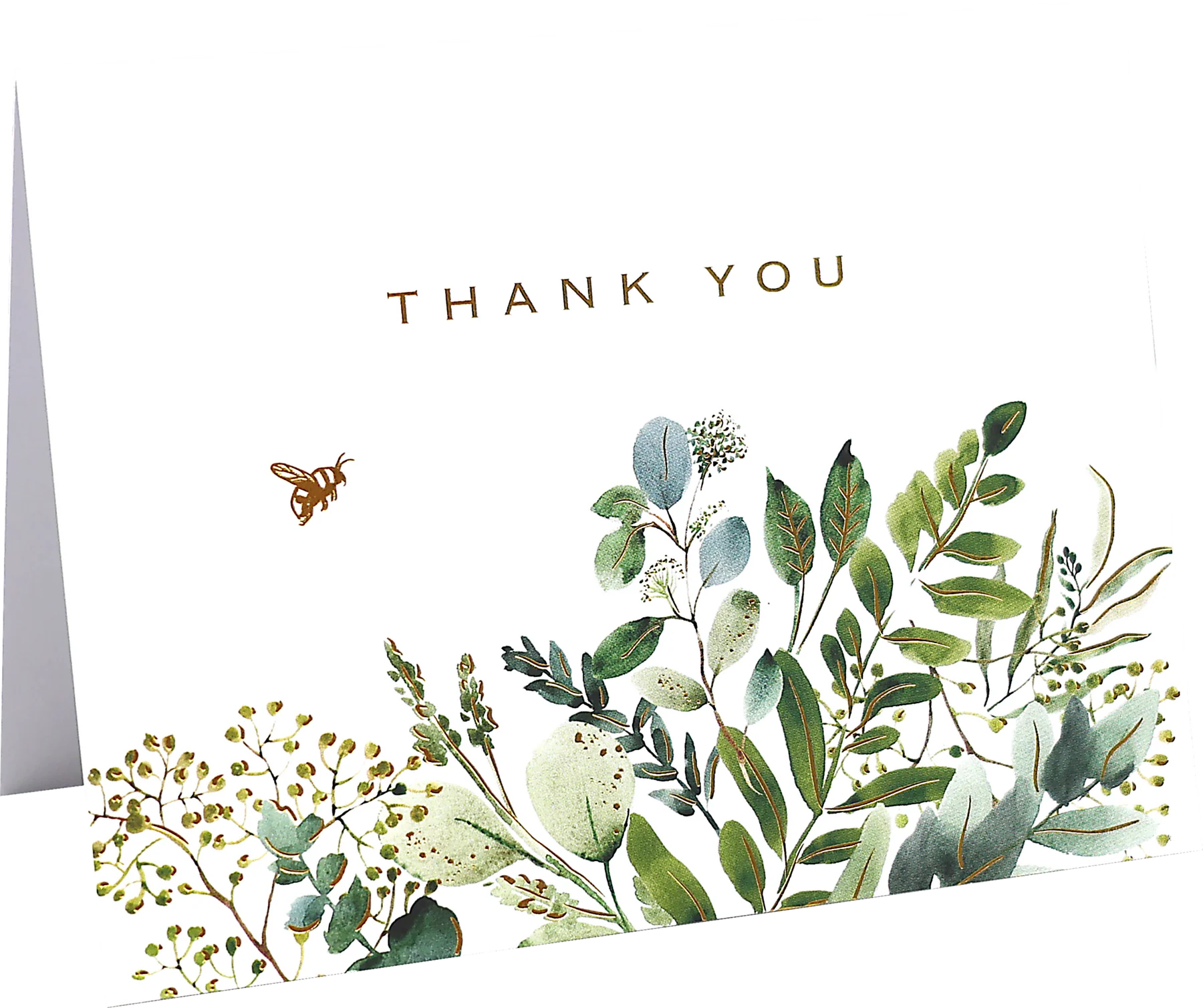 Eucalyptus Premium Assorted Thank-You Cards