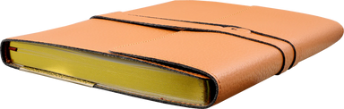 Leather Wrap Journal