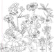 Wildflowers Coloring Book