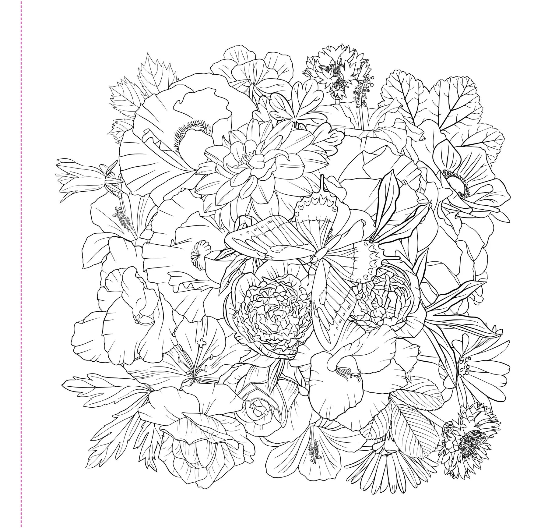 Wildflowers Coloring Book
