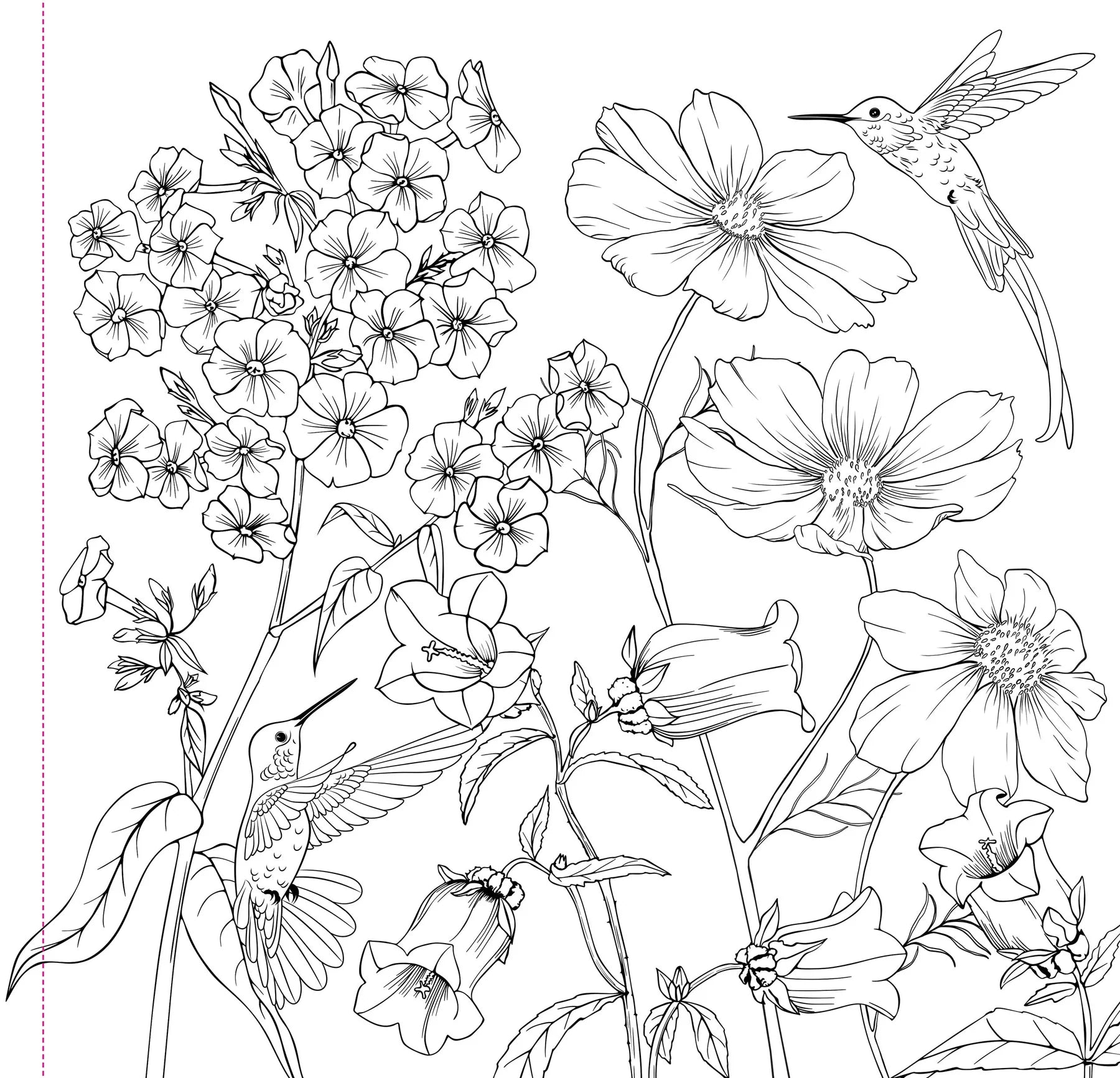 Wildflowers Coloring Book