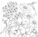 Wildflowers Coloring Book
