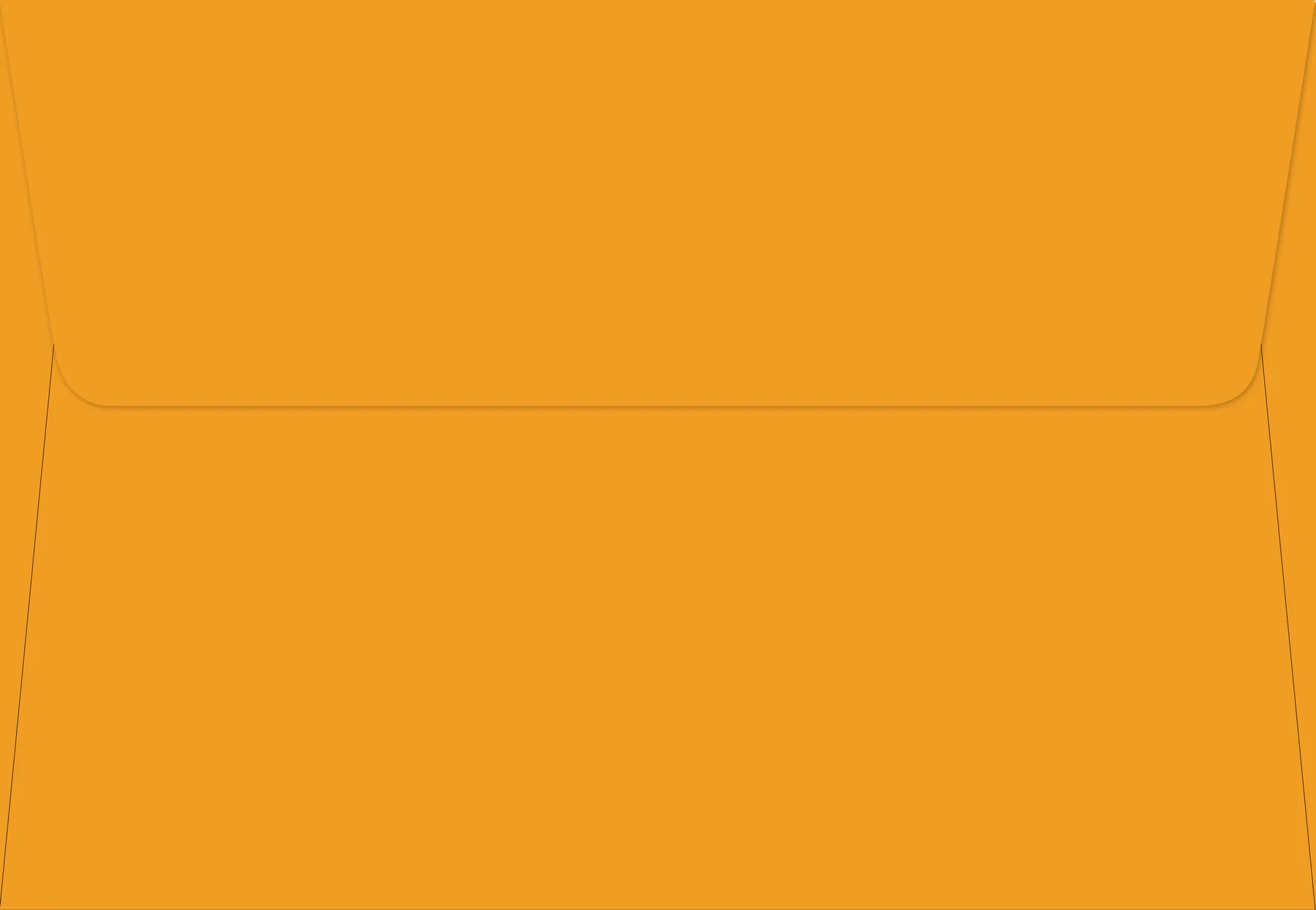 Monarch Butterflies Correspondence Cards