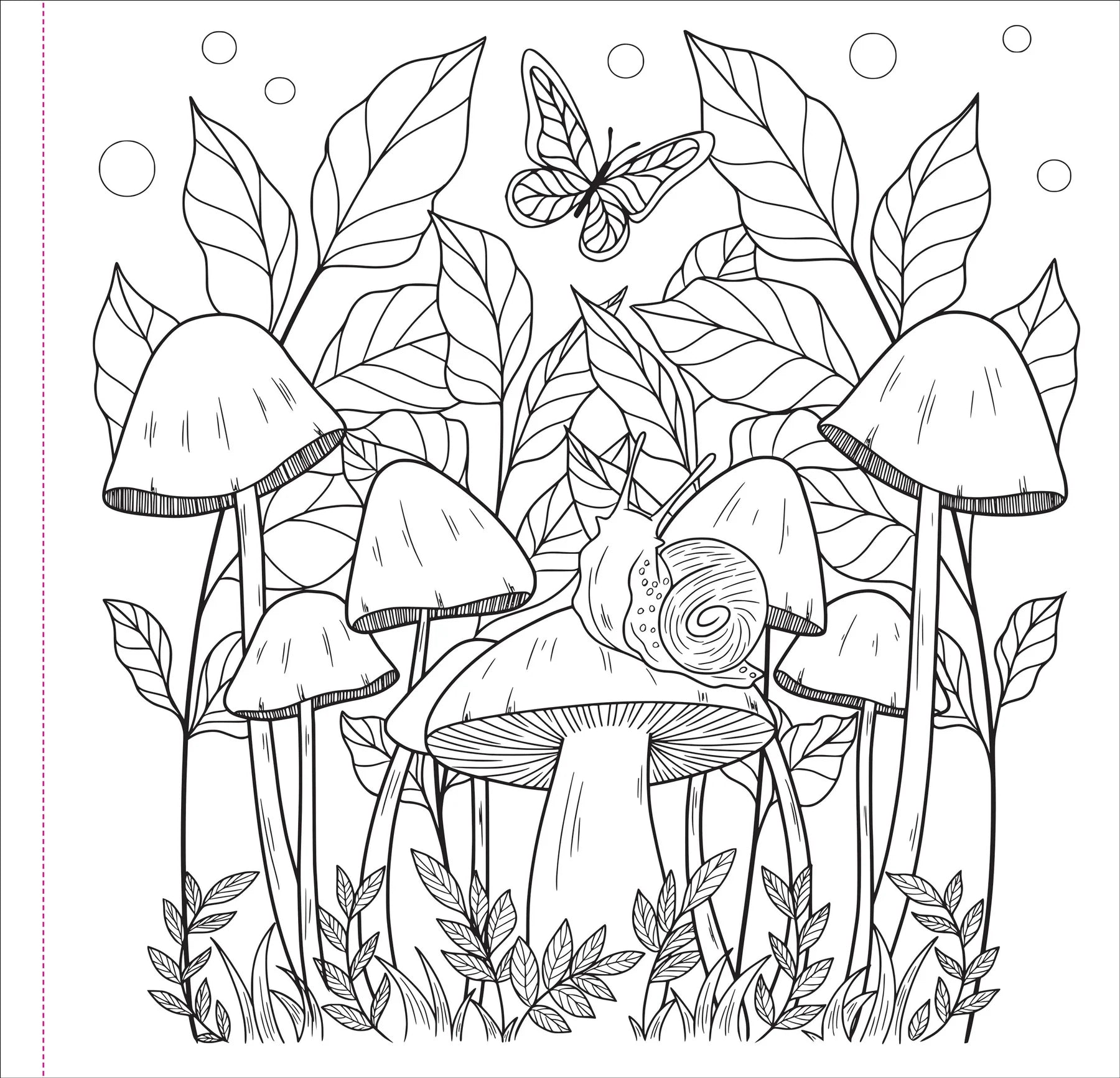 Mushrooms Artist's Coloring Book