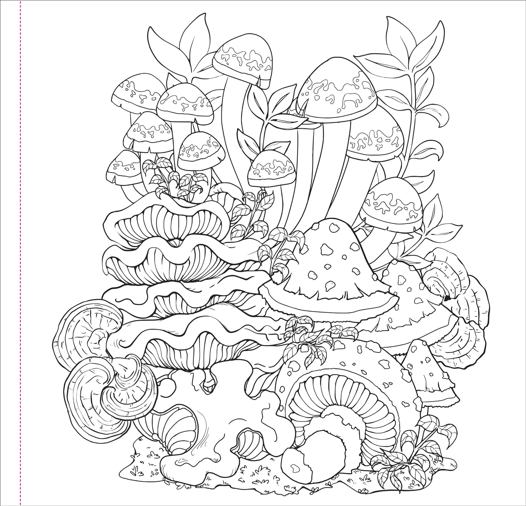 Mushrooms Artist's Coloring Book