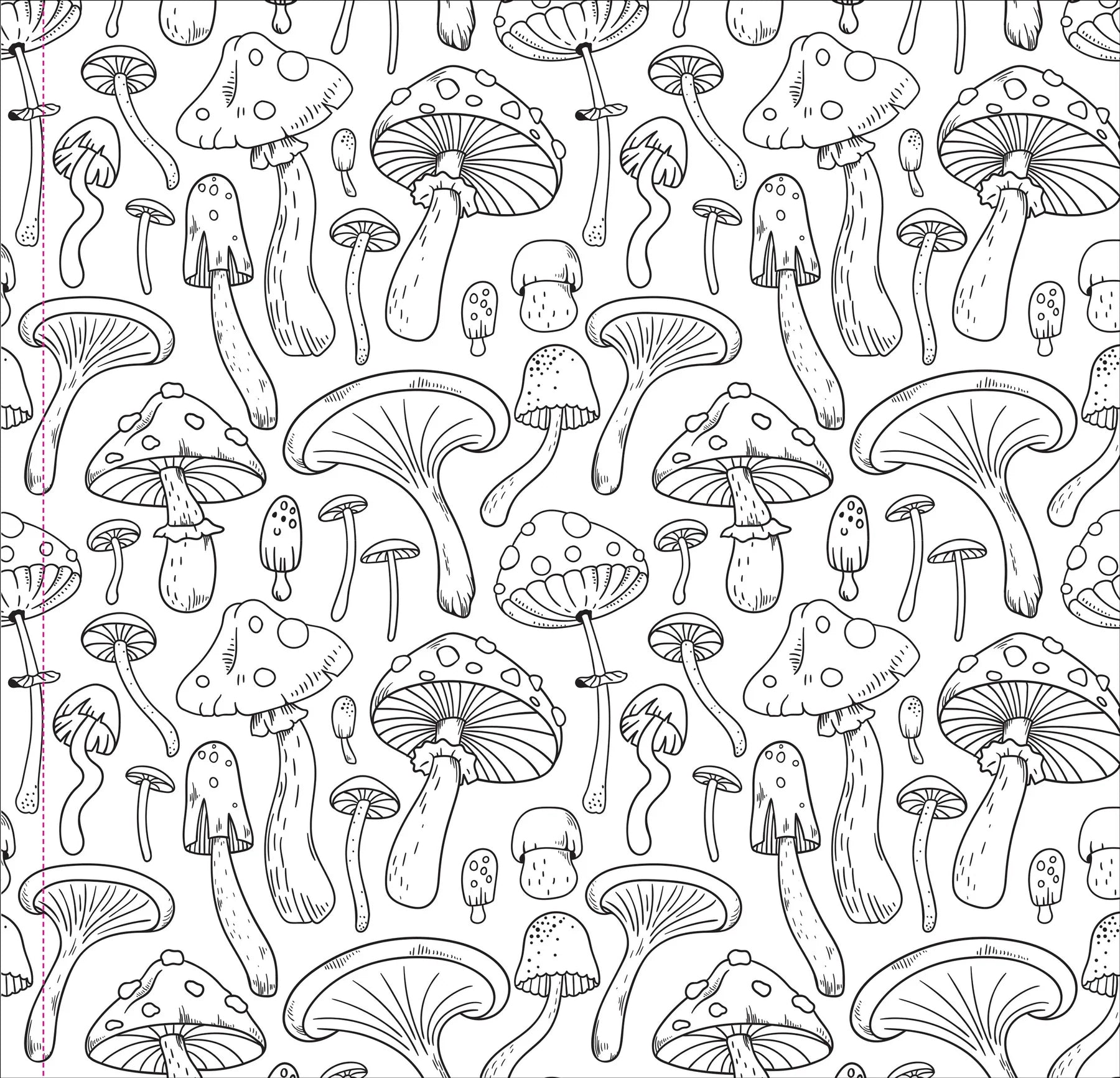 Mushrooms Artist's Coloring Book
