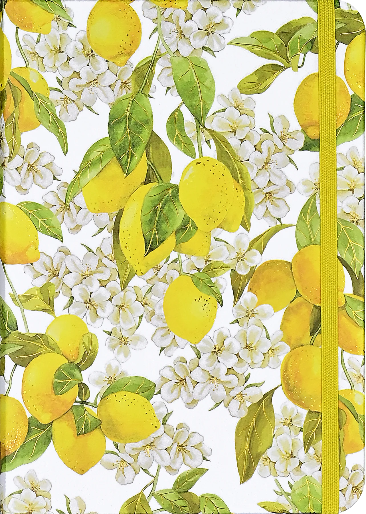 Amalfi Lemons Journal