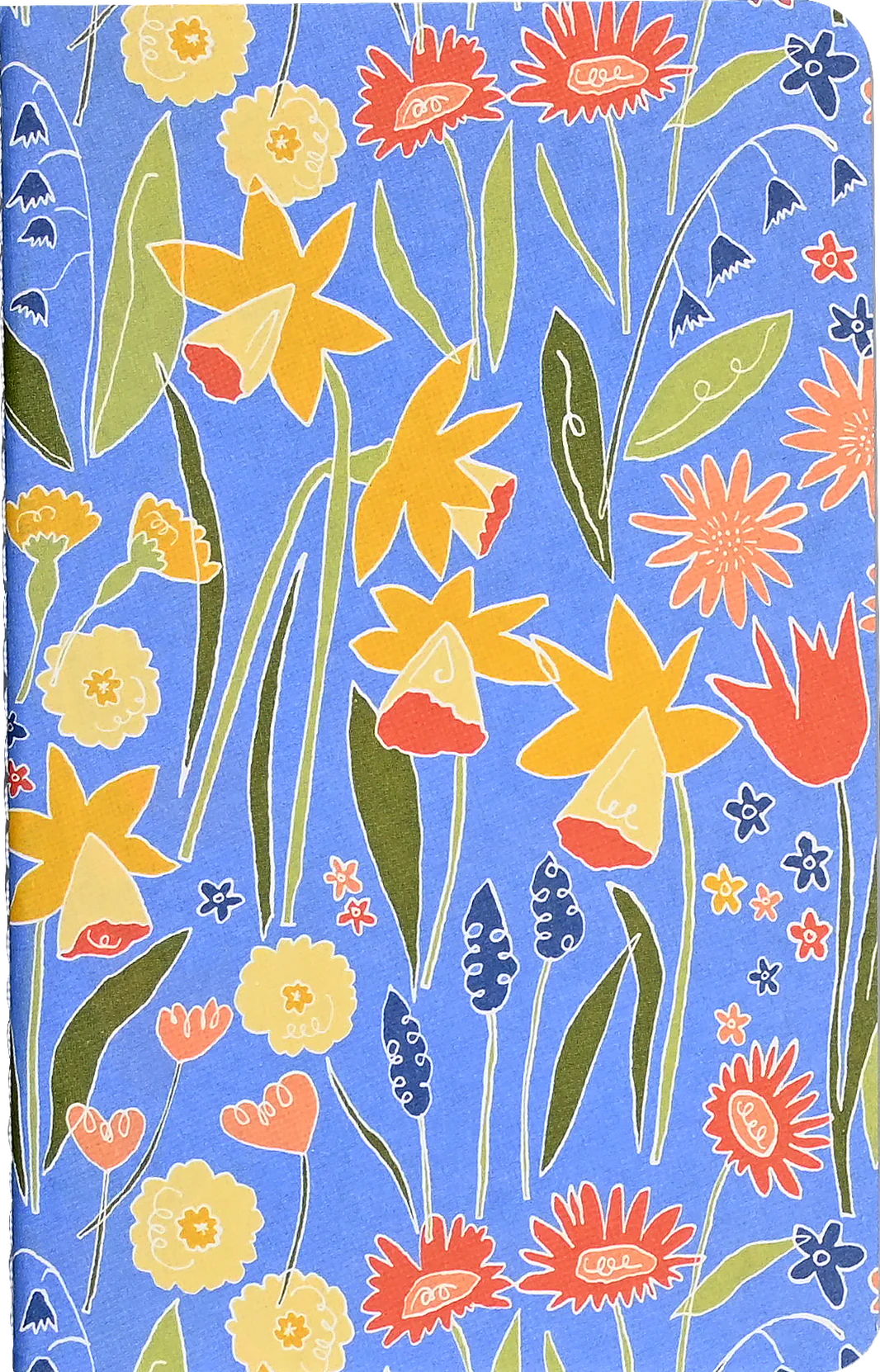 Daffodils Jotter Notebooks - Set of 3