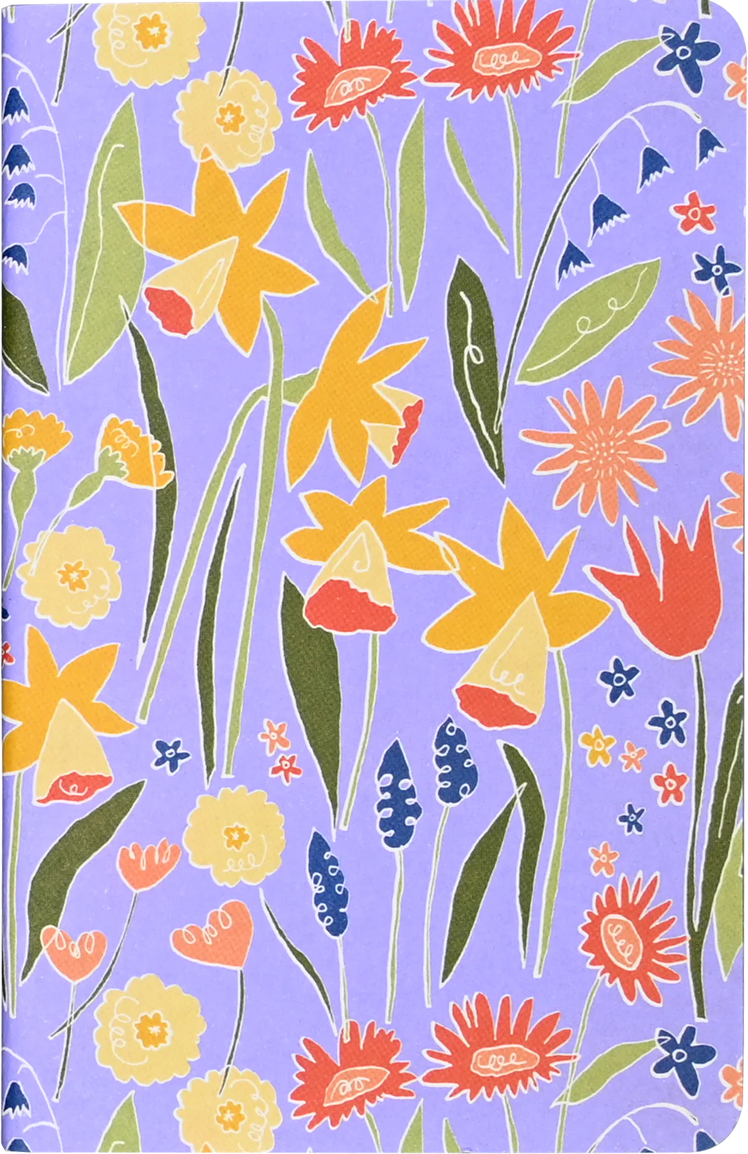 Daffodils Jotter Notebooks - Set of 3