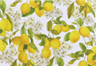 Amalfi Lemons Boxed Note Cards