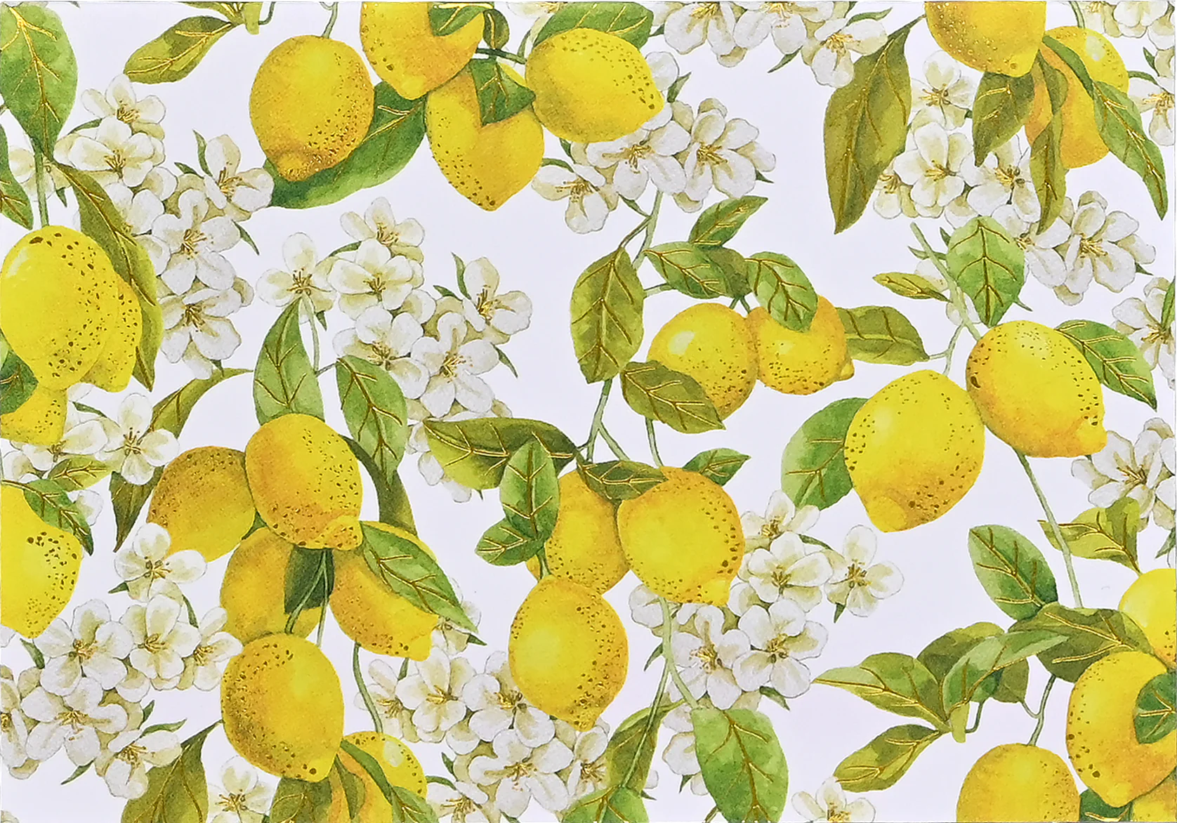 Amalfi Lemons Boxed Note Cards
