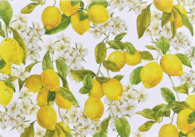 Amalfi Lemons Boxed Note Cards