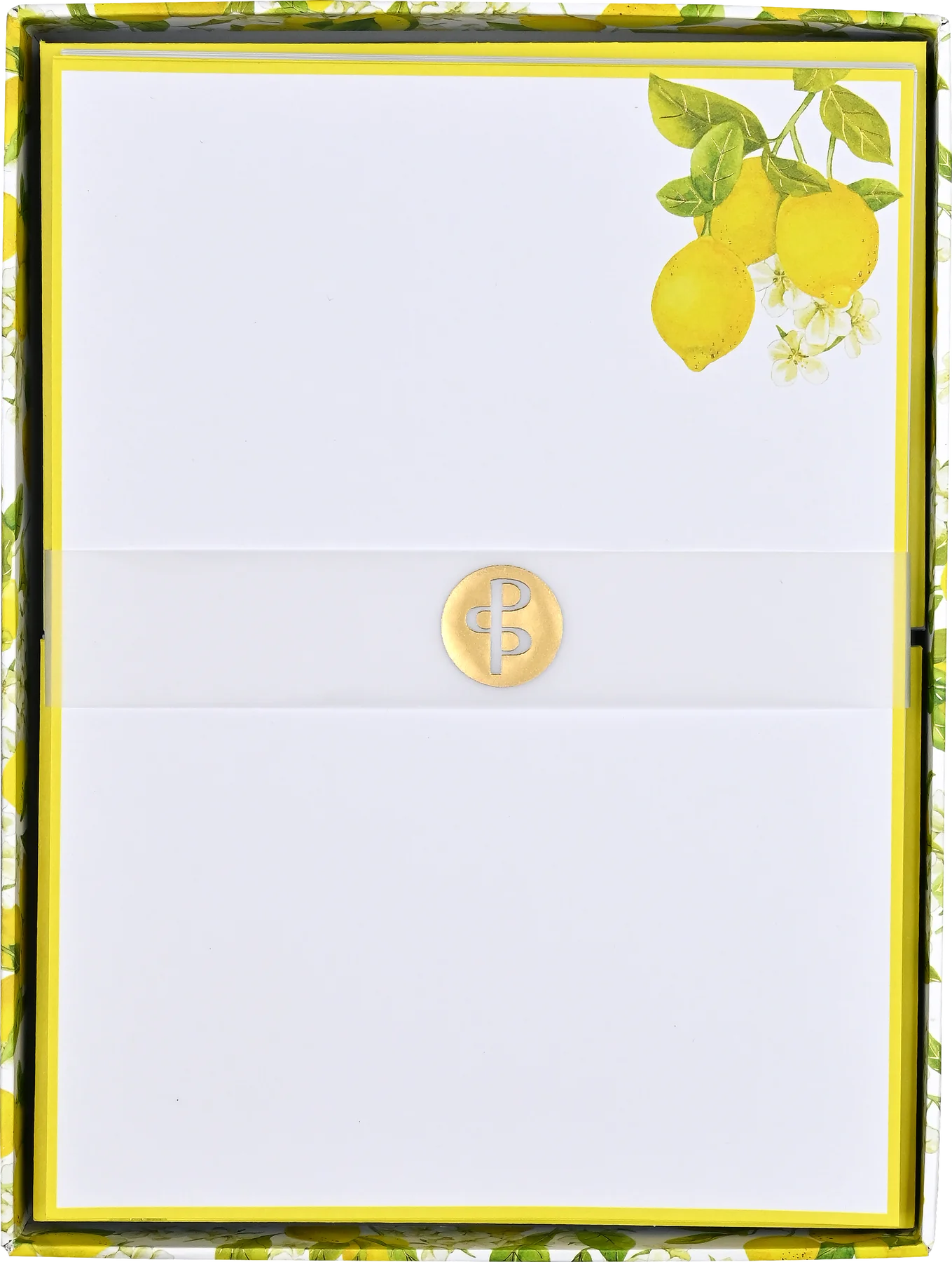 Amalfi Lemons Stationery Set