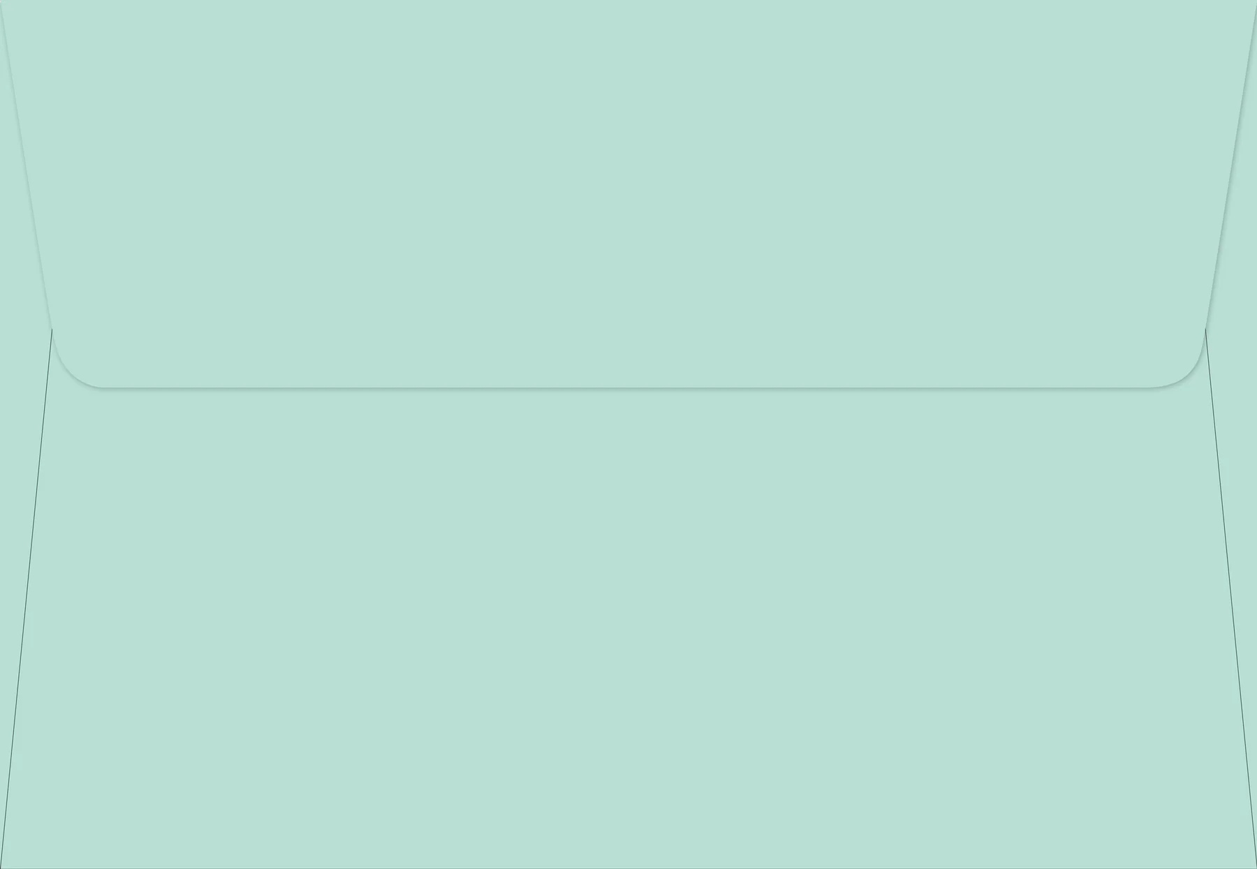 Allium Blossoms Boxed Note Cards