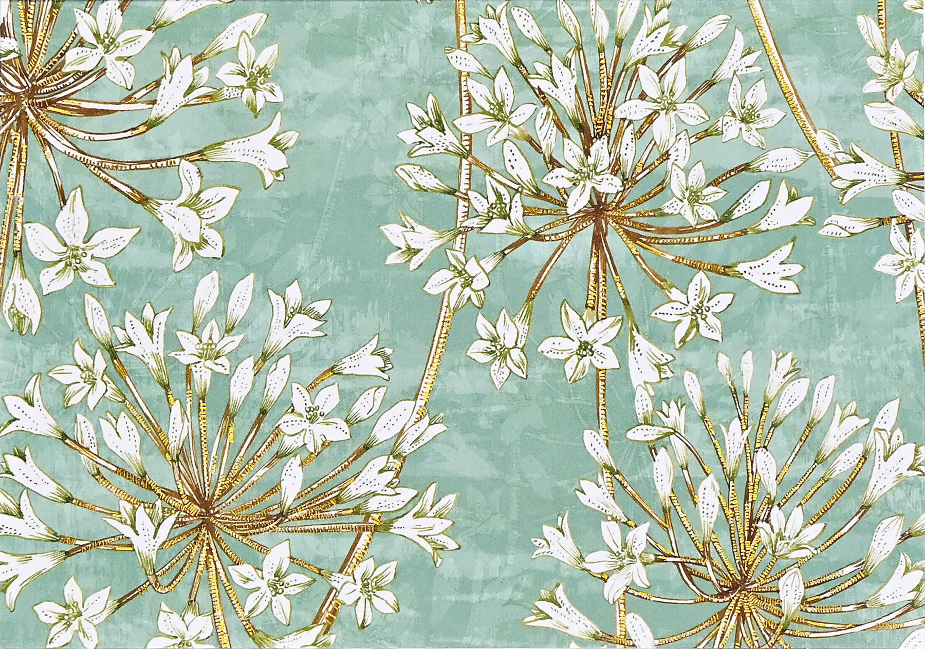 Allium Blossoms Boxed Note Cards