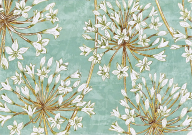 Allium Blossoms Boxed Note Cards