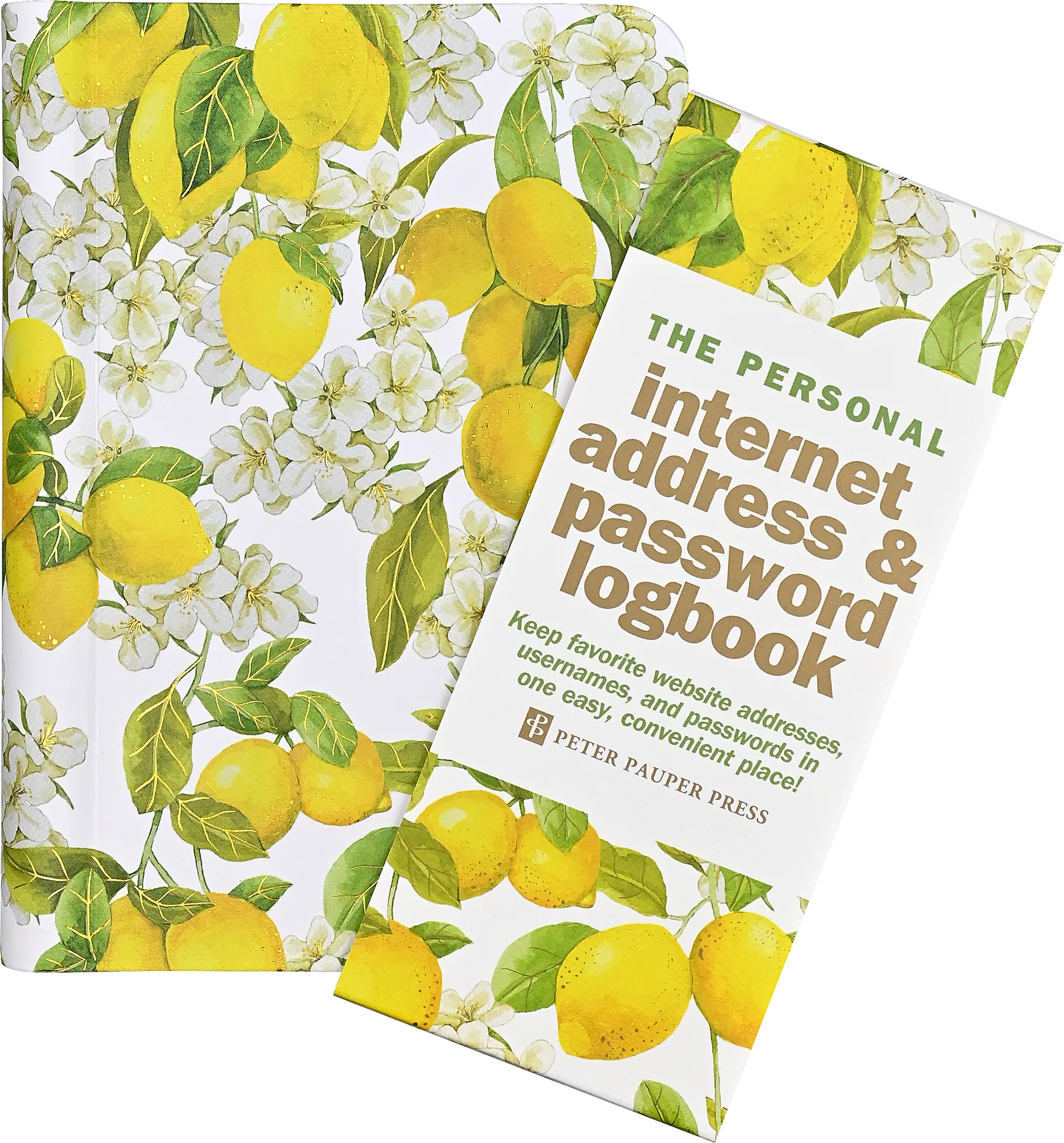 Internet Address & Password Logbook - Amalfi Lemons