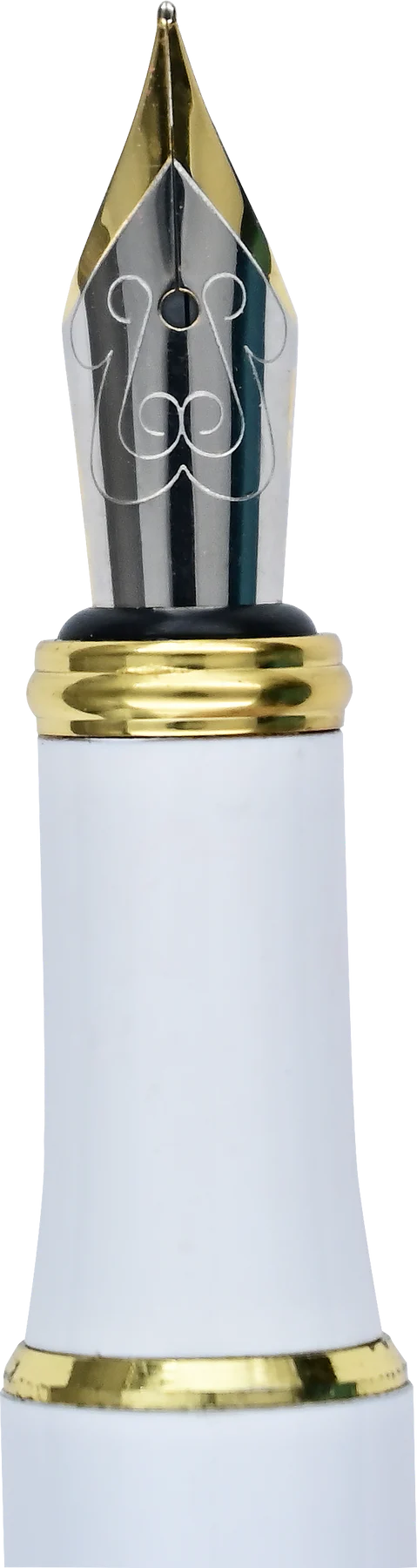 Amalfi Lemons Fountain Pen