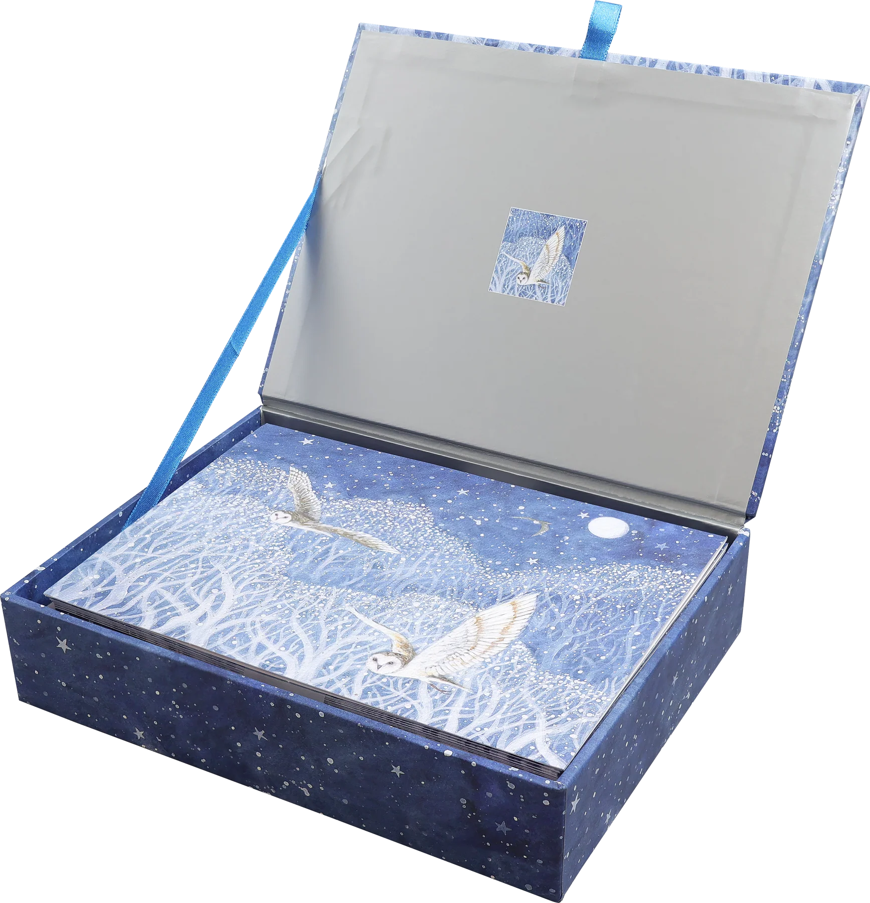 Owls In Flight Deluxe Boxed Christmas Cards