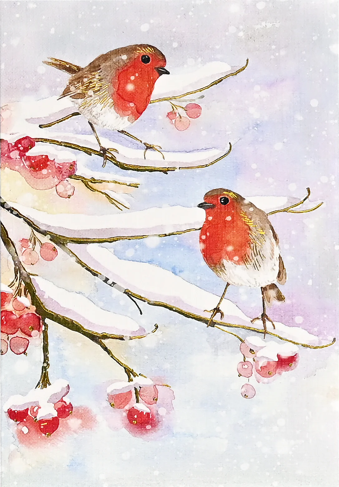 English Robins In Snow Boxed Holiday Cards