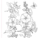 Goth Garden Coloring Book