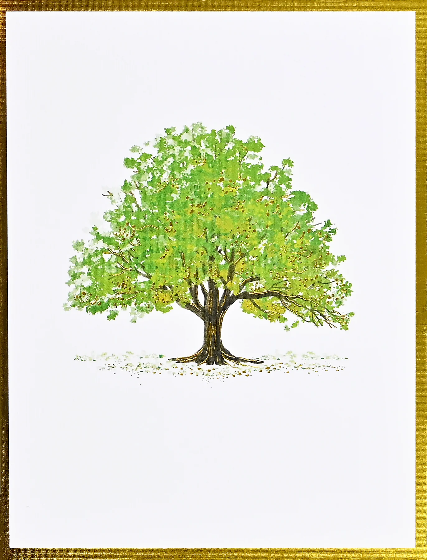 Watercolor Trees Premium Assorted Note Cards