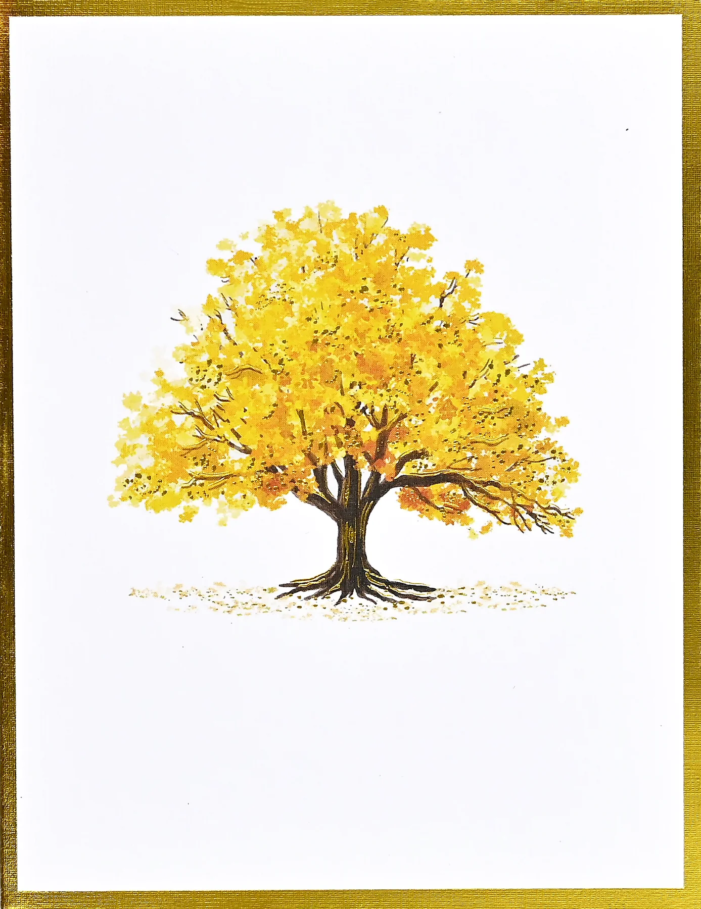 Watercolor Trees Premium Assorted Note Cards