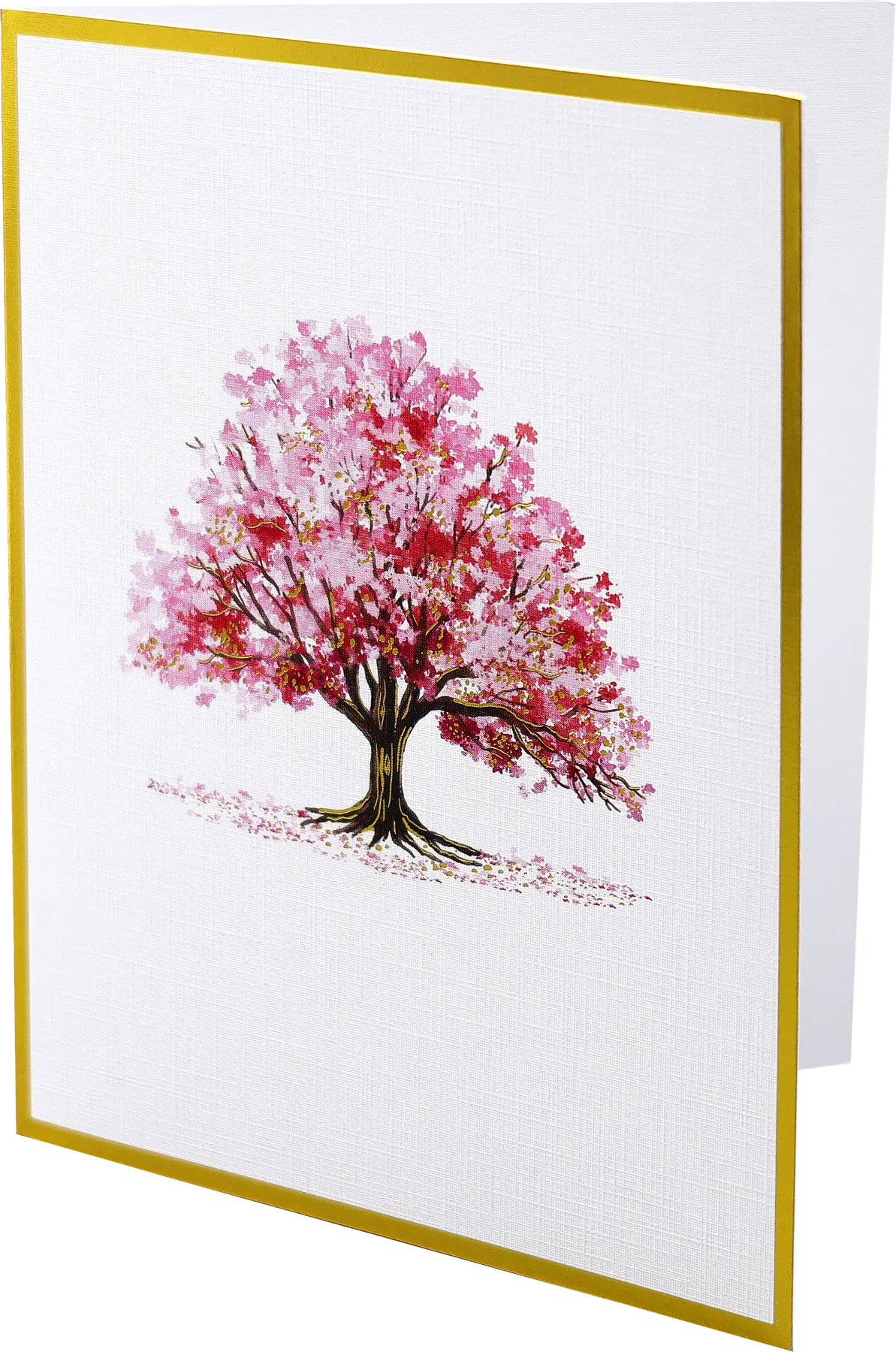 Watercolor Trees Premium Assorted Note Cards