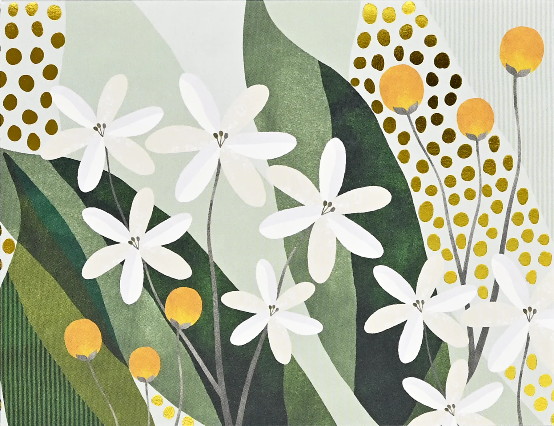 Floral Premium Assorted Note Cards