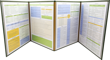 RPG Game Master Screen