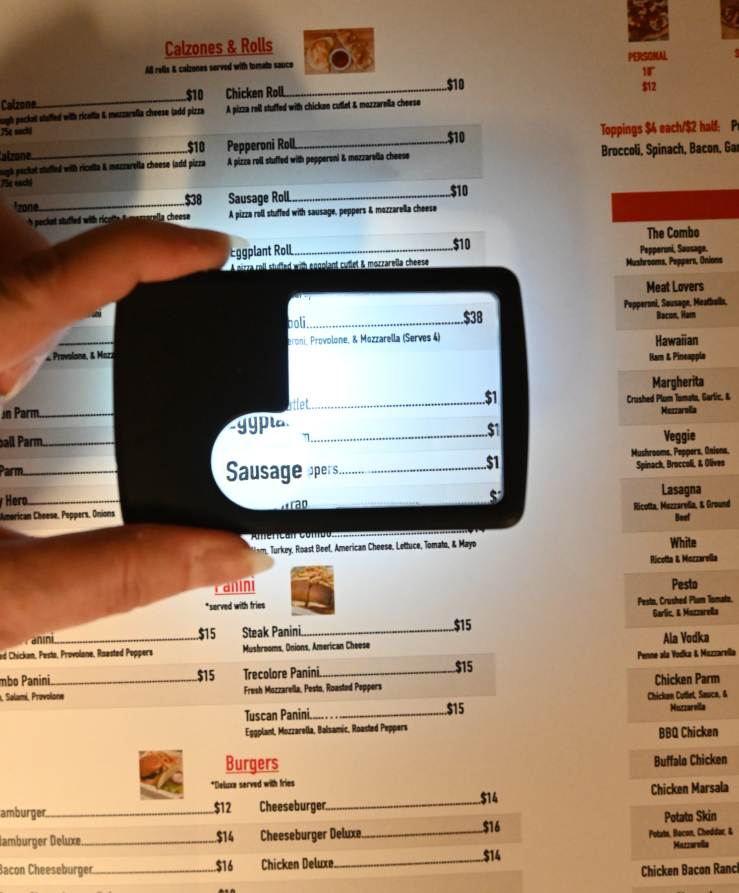 Lighted Menu Magnifier