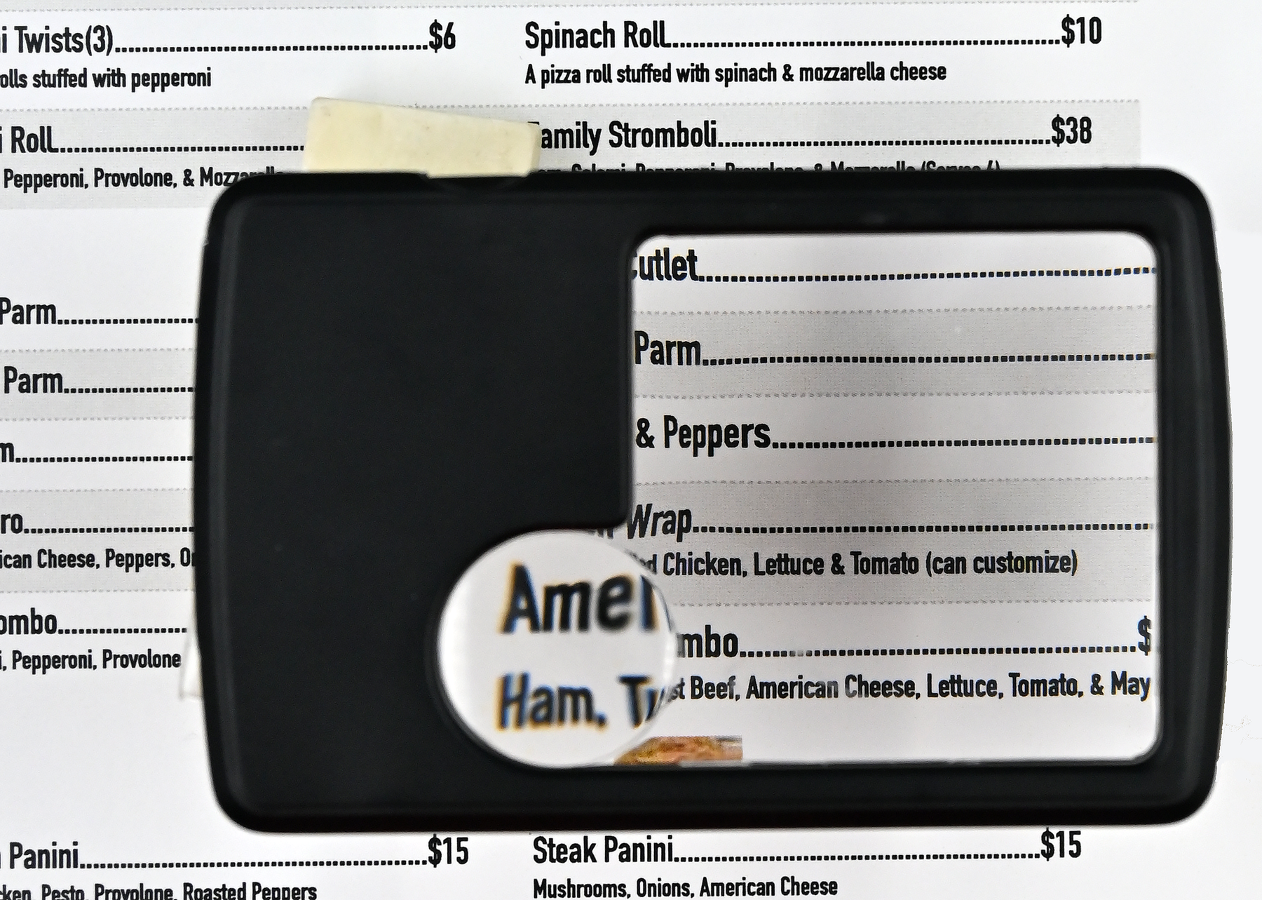 Lighted Menu Magnifier