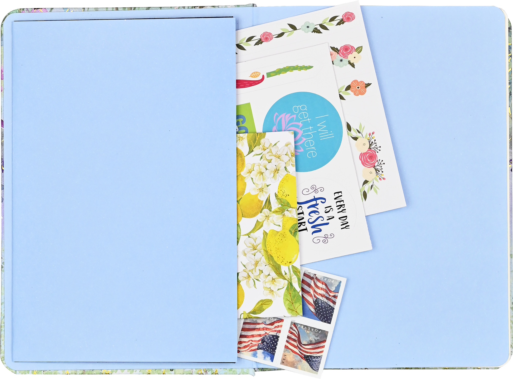PTR Dragonflies & Dandelions Journal