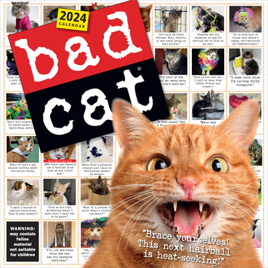 Bad Cat 2024 Wall Calendar    