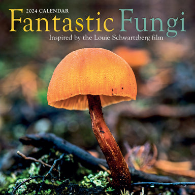 Fantastic Fungi 2024 Wall Calendar    