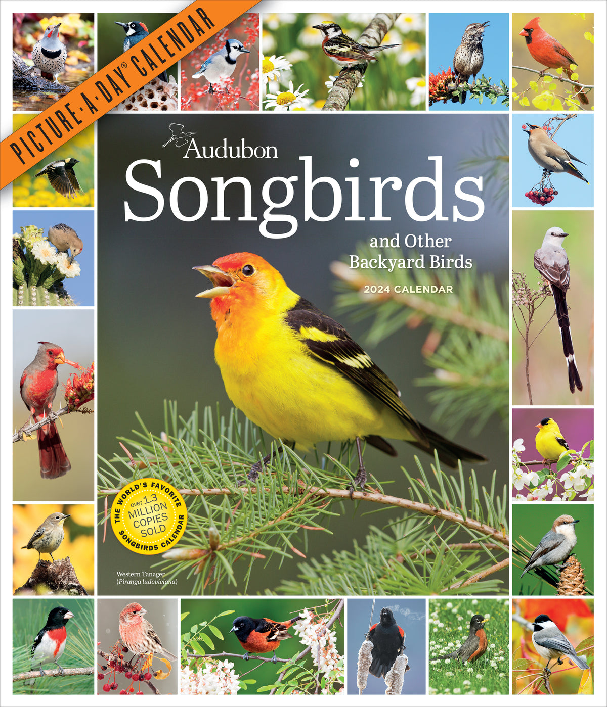 Audubon Songbirds 2024 And Other Backyard Birds 2024 Picture A Day Cal   9781523518982 1 1200x1399 