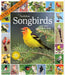 Audubon Songbirds 2024 and Other Backyard Birds 2024 Picture A Day Calendar    
