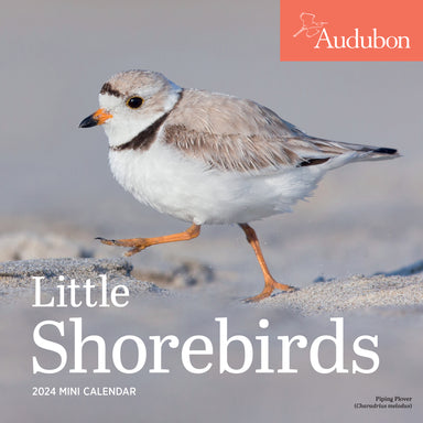 Audubon Little Shorebirds 2024 Mini Wall Calendar    