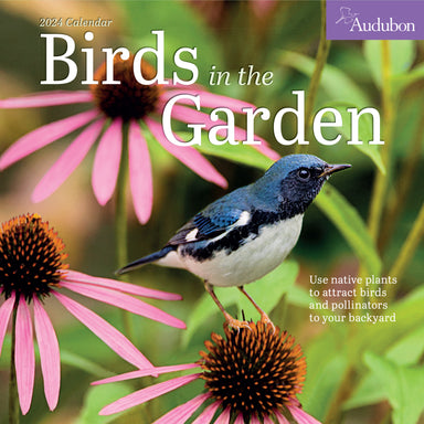 Birds In The Garden 2024 Audubon Wall Calendar    