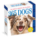 365 Dogs 2024 Page A Day Calendar    